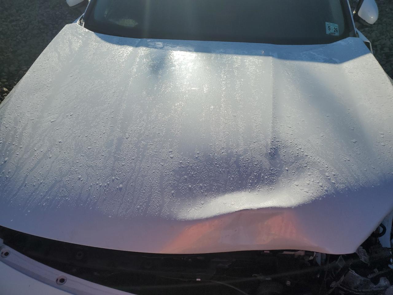 Lot #3301817339 2021 HONDA ACCORD EXL