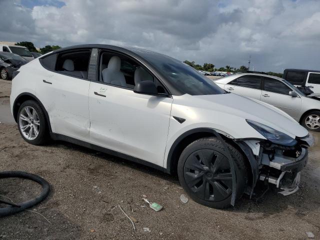 2021 TESLA MODEL Y #3303919699