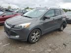 2016 FORD ESCAPE TIT - 1FMCU0J91GUB06275