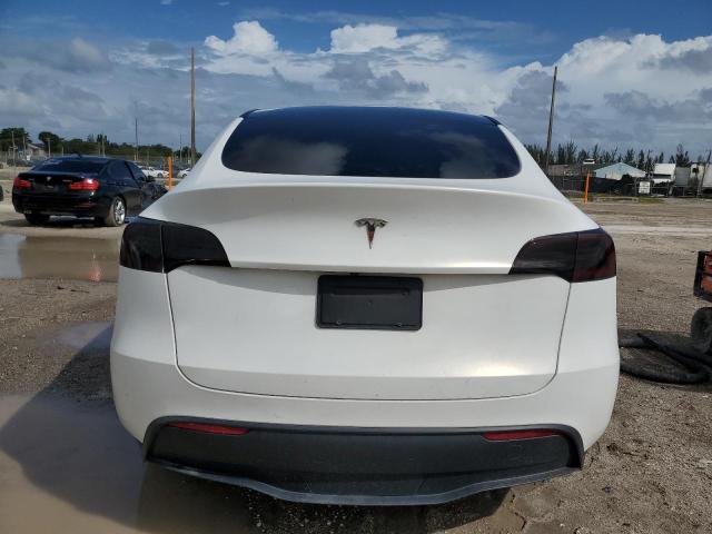 2021 TESLA MODEL Y #3303919699