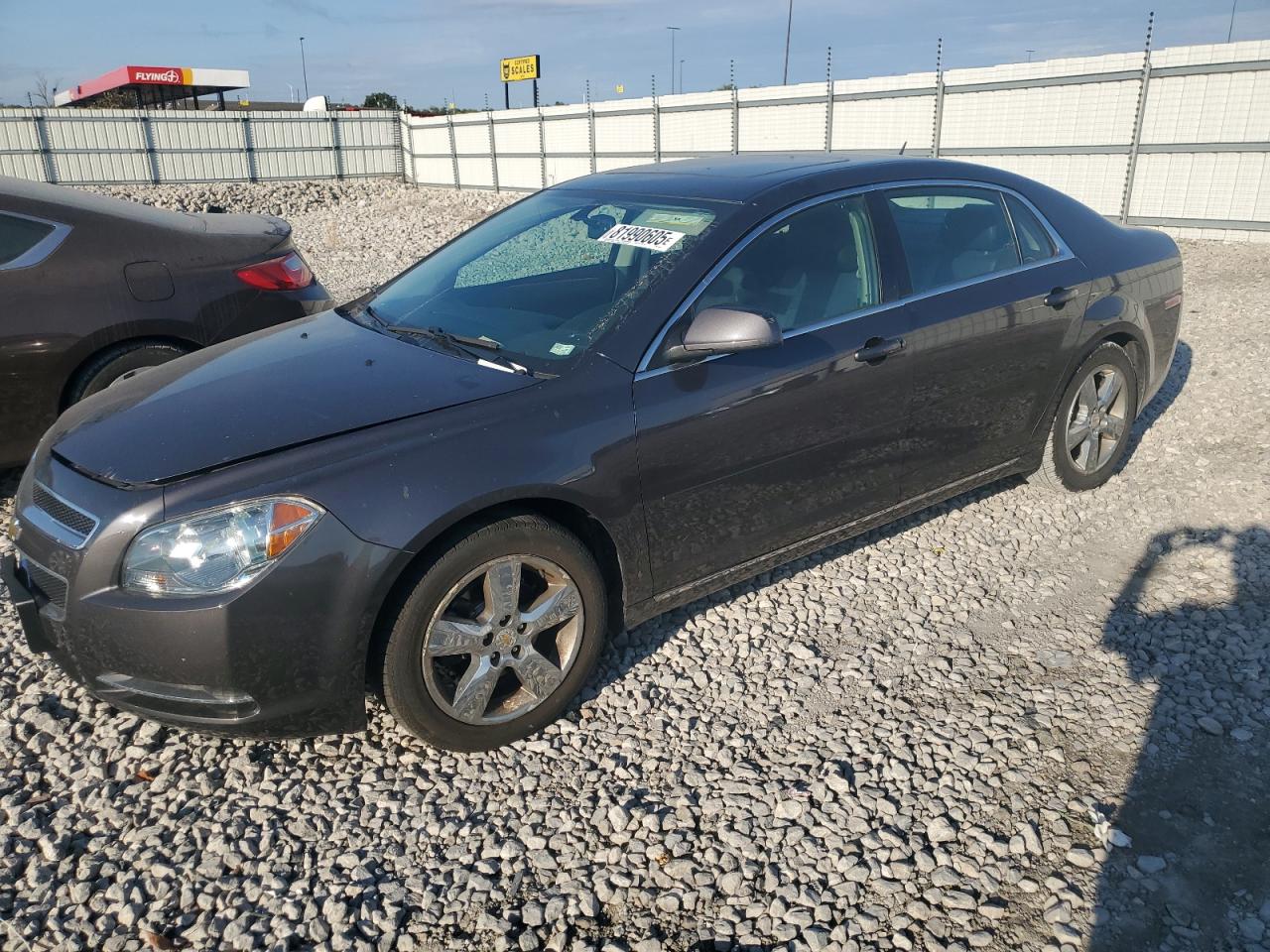 Lot #3308482289 2010 CHEVROLET MALIBU 2LT