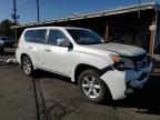 Lot #3293843601 2010 LEXUS GX 460 PRE