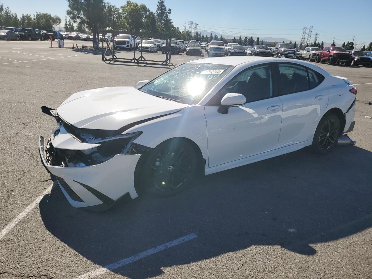 Lot #3315944080 2025 TOYOTA CAMRY XSE