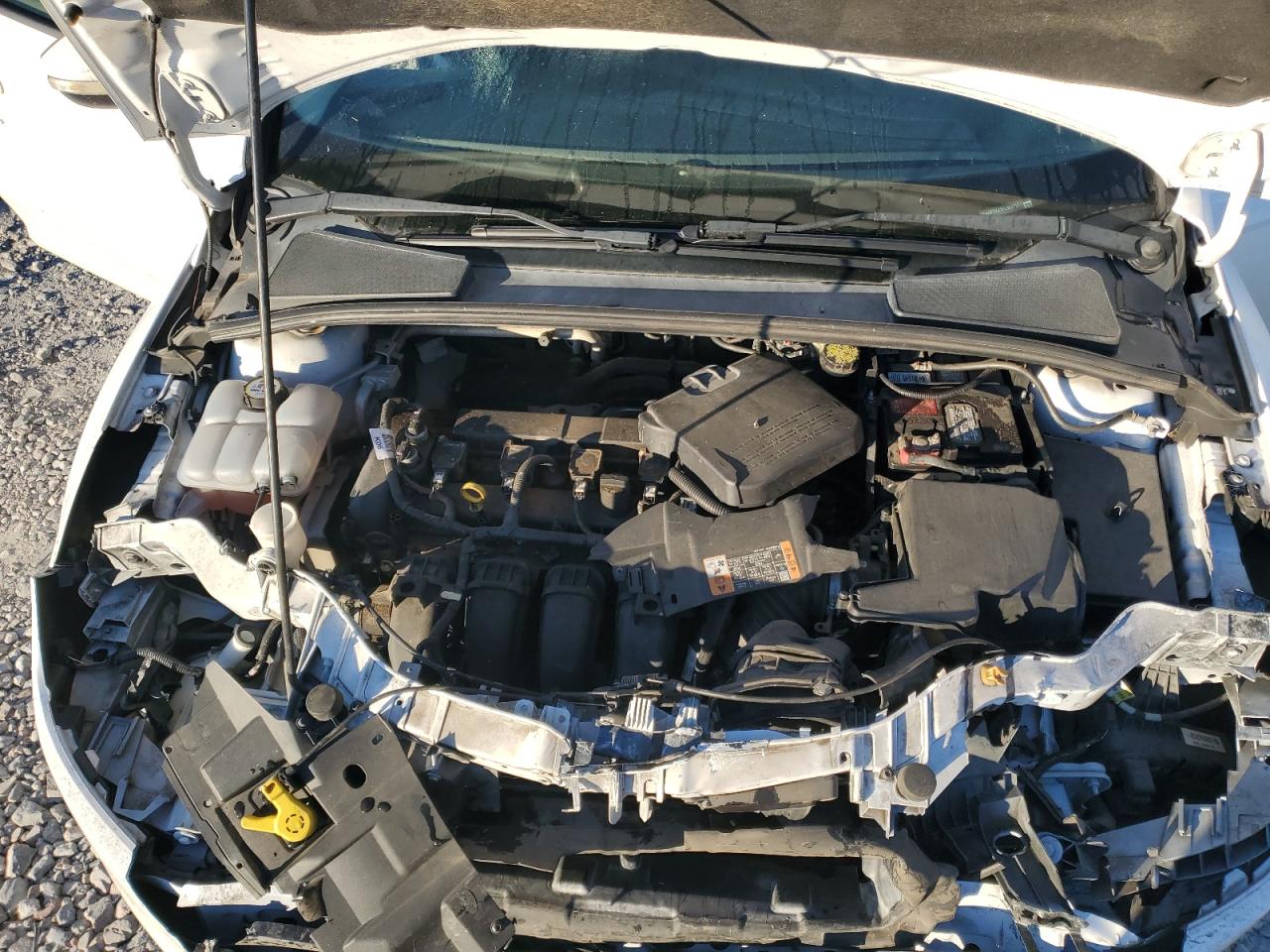 Lot #3309632055 2015 FORD FOCUS SE