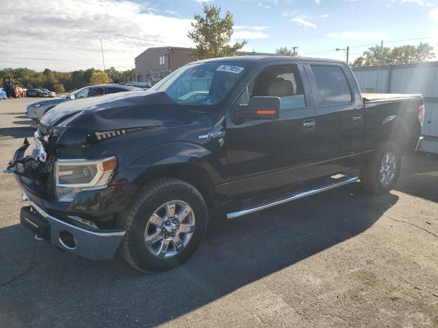 2014 FORD F150 SUPERCREW #3292339302