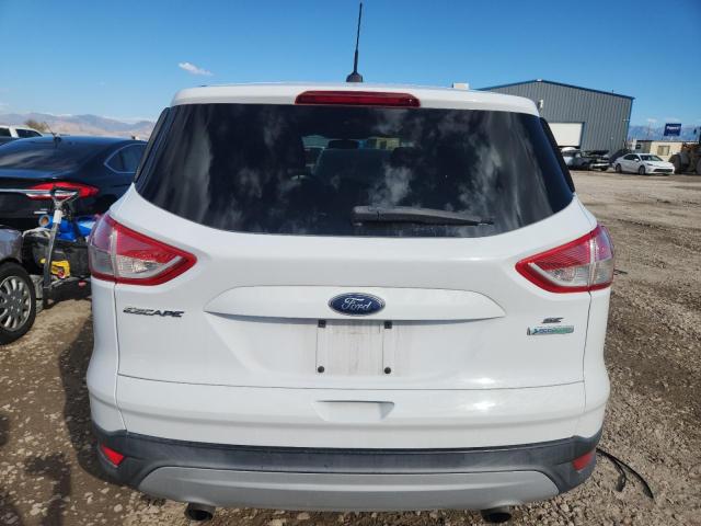 2013 FORD ESCAPE SE - 1FMCU0GX0DUD87759