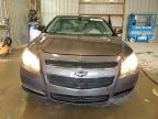 Lot #3305400300 2011 CHEVROLET MALIBU LS