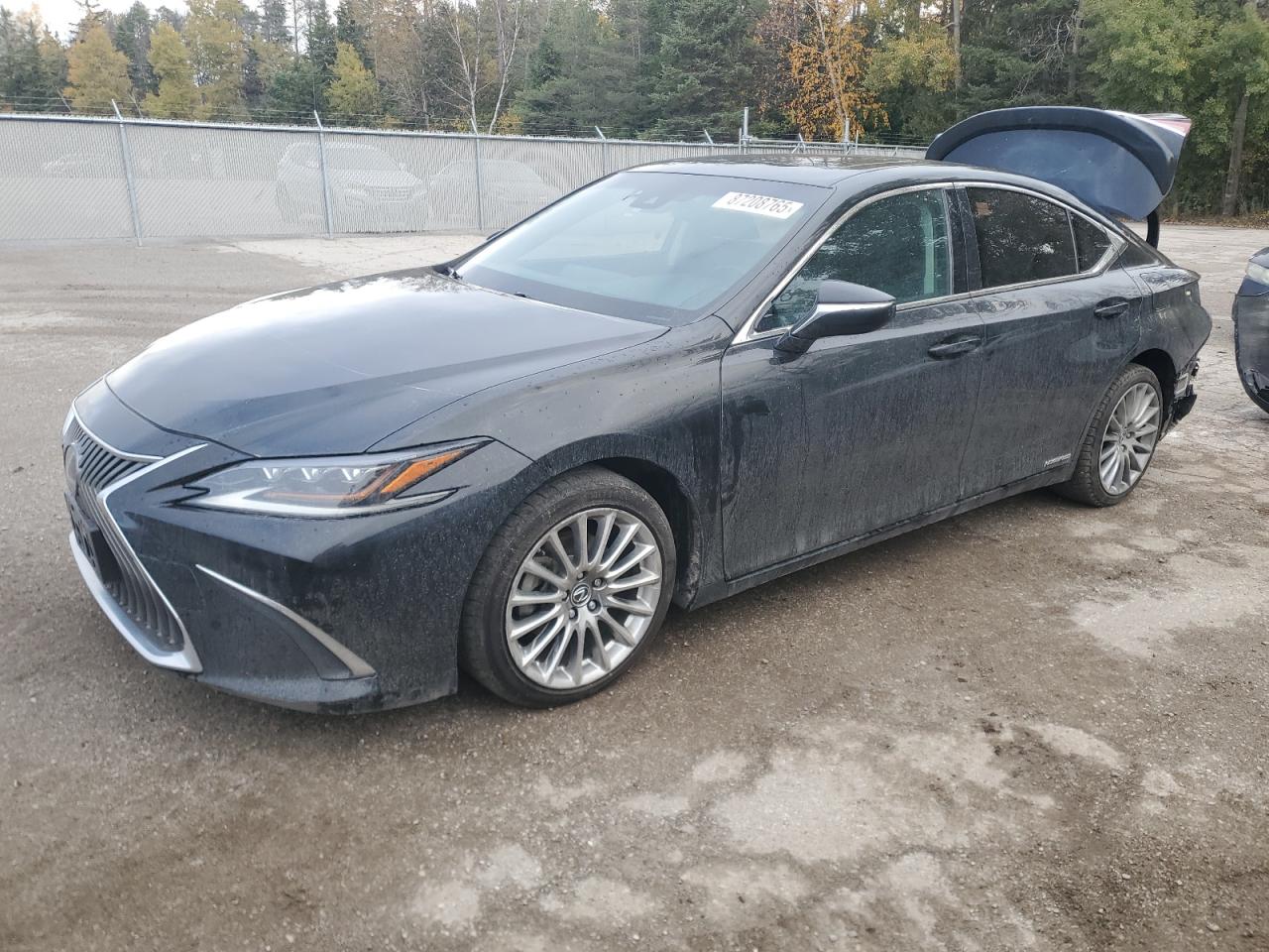 LEXUS ES 300H