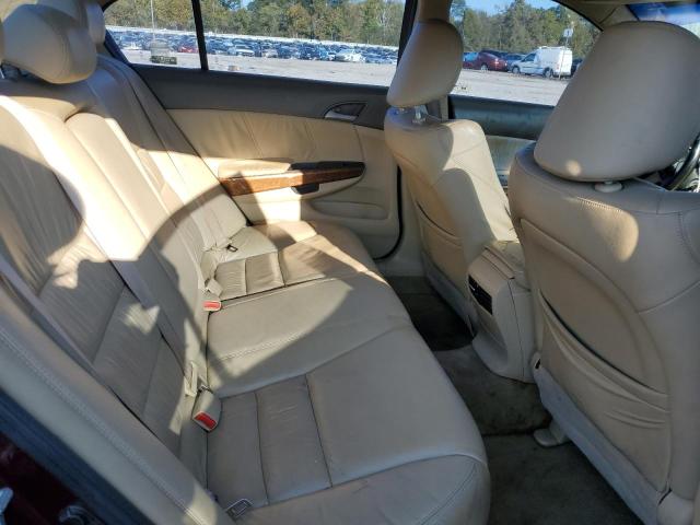 2010 HONDA ACCORD EXL - 1HGCP2F86AA070472