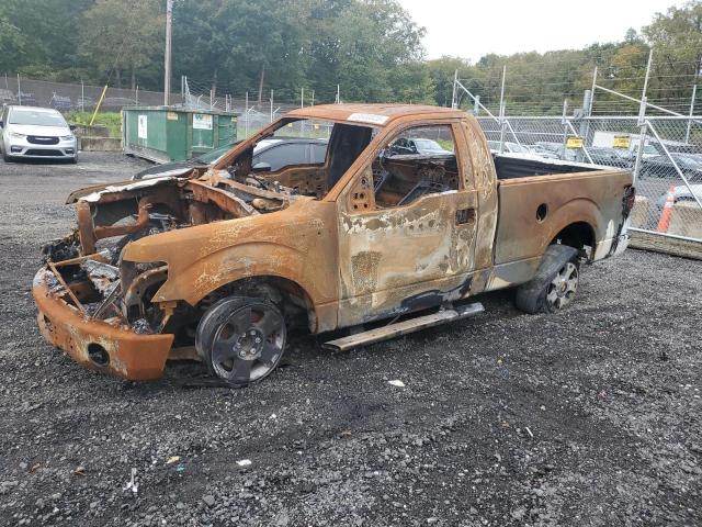 Global Auto Auctions: 2010 FORD F150