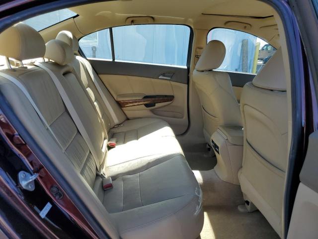 2010 HONDA ACCORD EXL - 5KBCP3F8XAB007436