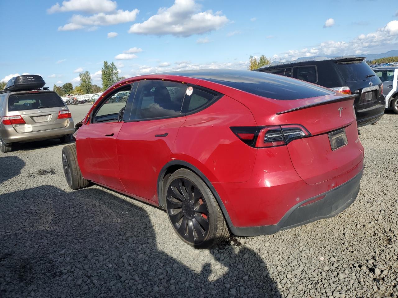 TESLA MODEL Y