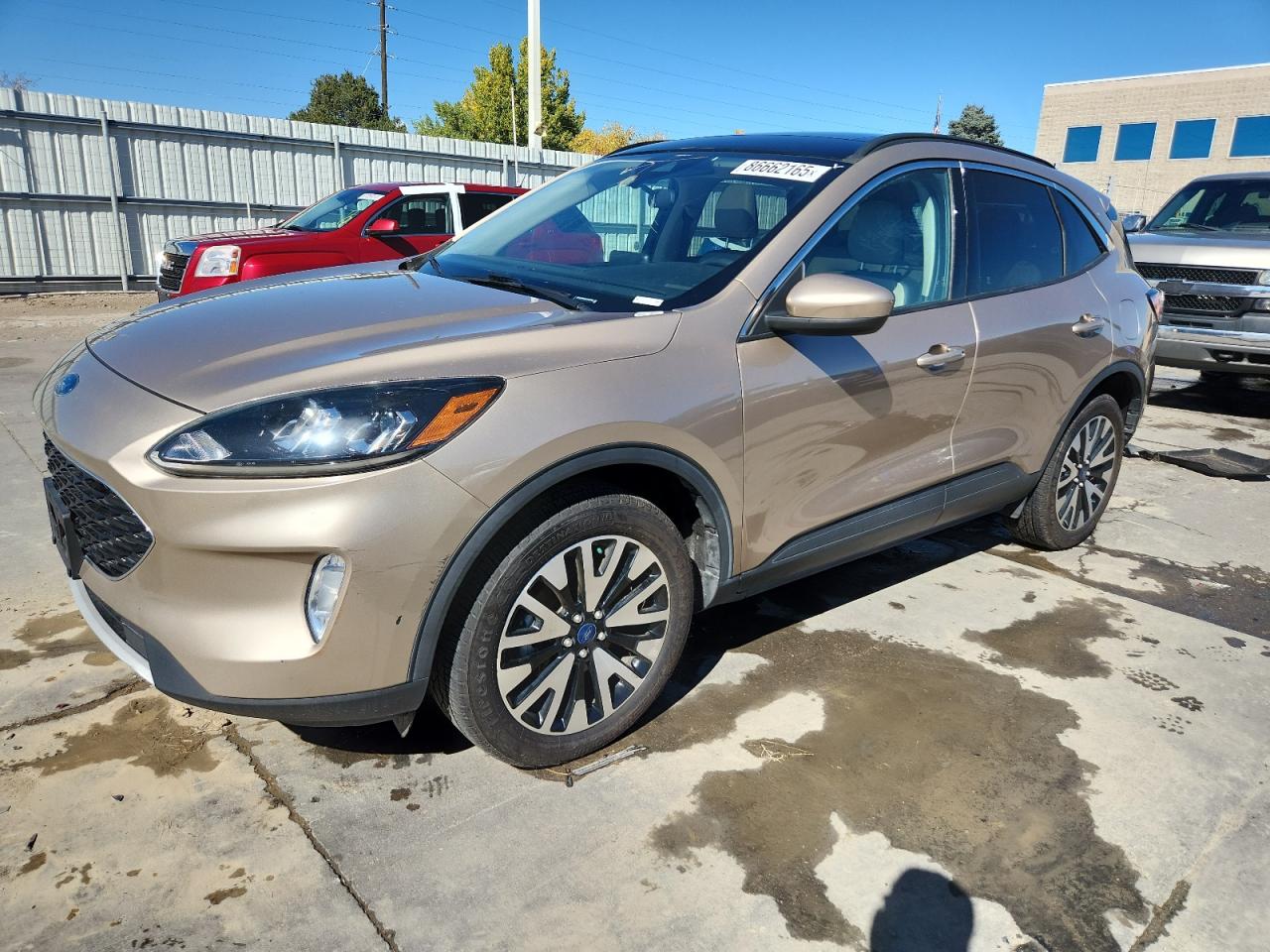 FORD ESCAPE SEL