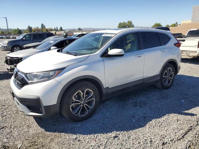 2020 HONDA CR-V EX - 5J6RW1H52LA013854