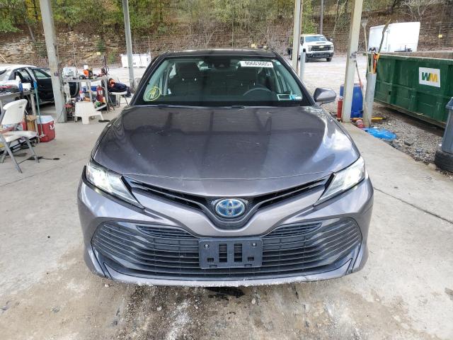 2019 TOYOTA CAMRY LE - 4T1B31HK4KU005589