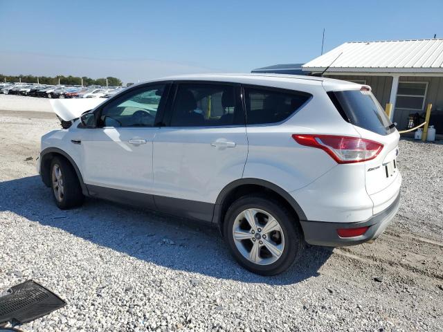 2014 FORD ESCAPE SE #3284667321