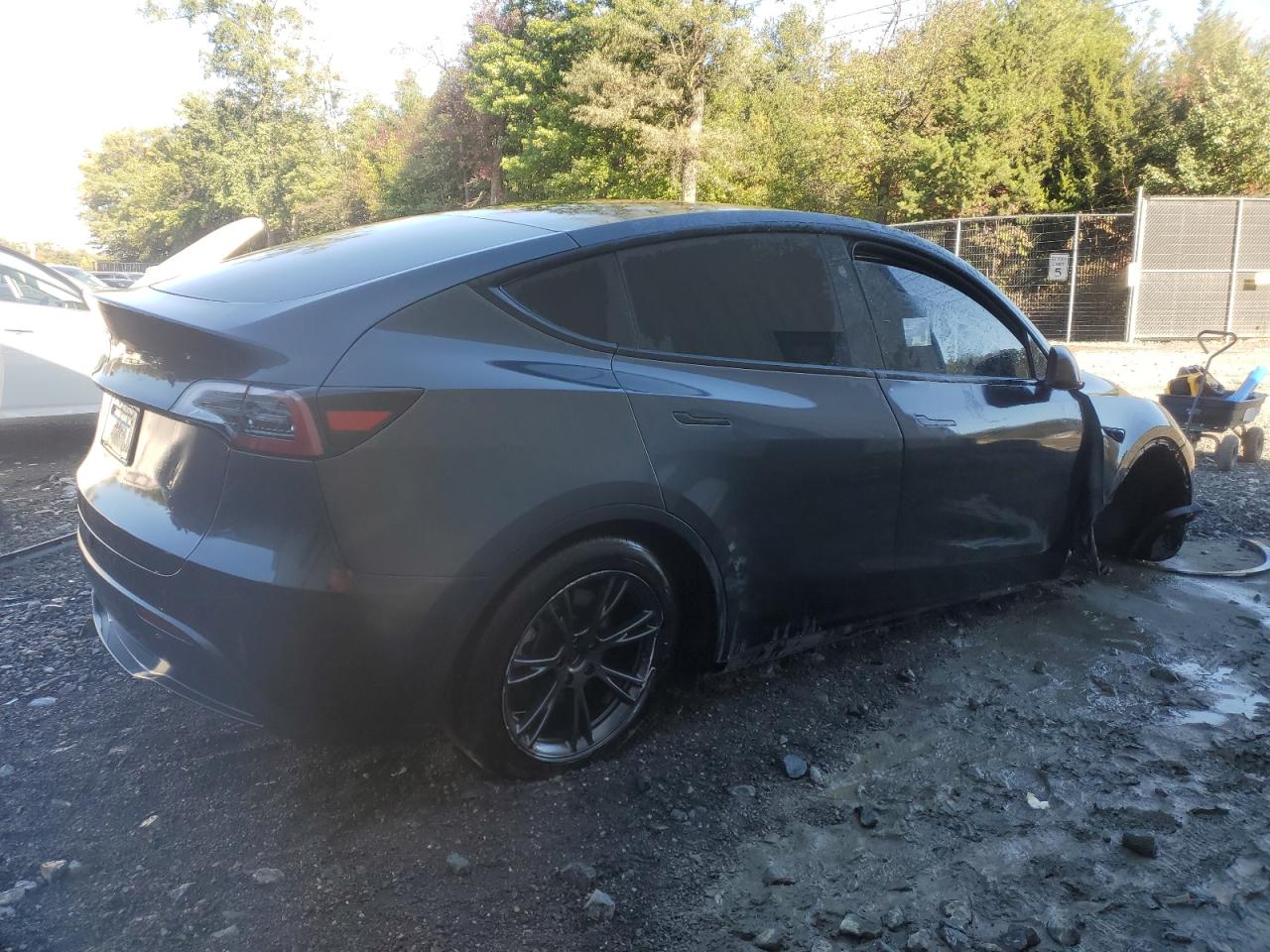 Lot #3316720413 2025 TESLA MODEL Y