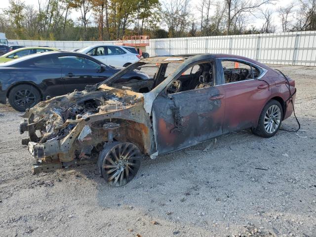 Global Auto Auctions: 2019 LEXUS ES 350