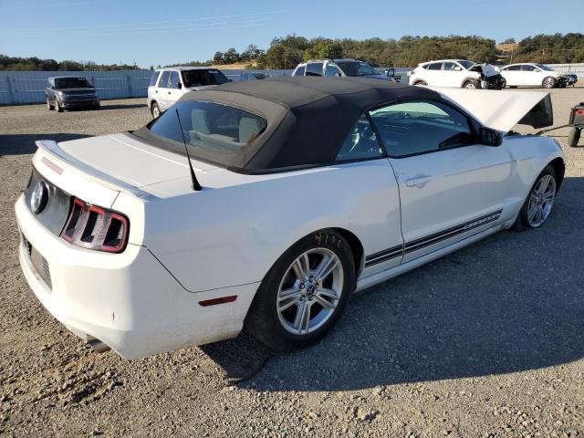 2013 FORD MUSTANG - 1ZVBP8EM2D5229705