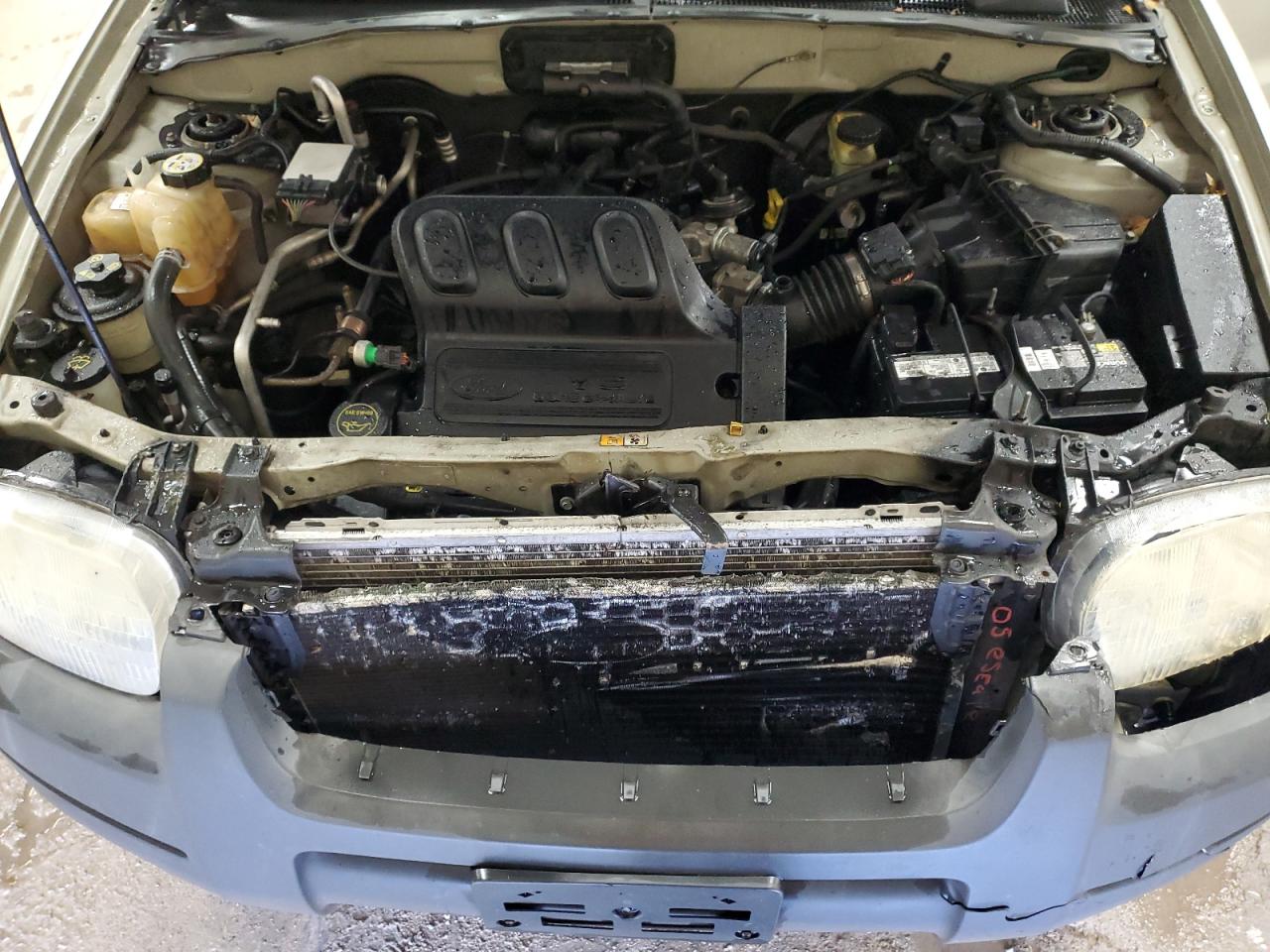 Lot #3287697021 2003 FORD ESCAPE XLT