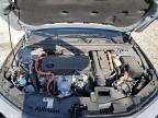 Lot #3303907729 2024 HONDA ACCORD HYB