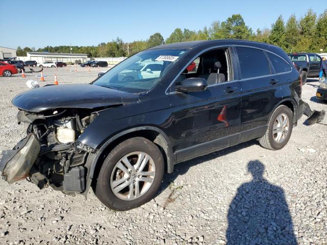 Global Auto Auctions: 2010 HONDA CR-V EXL