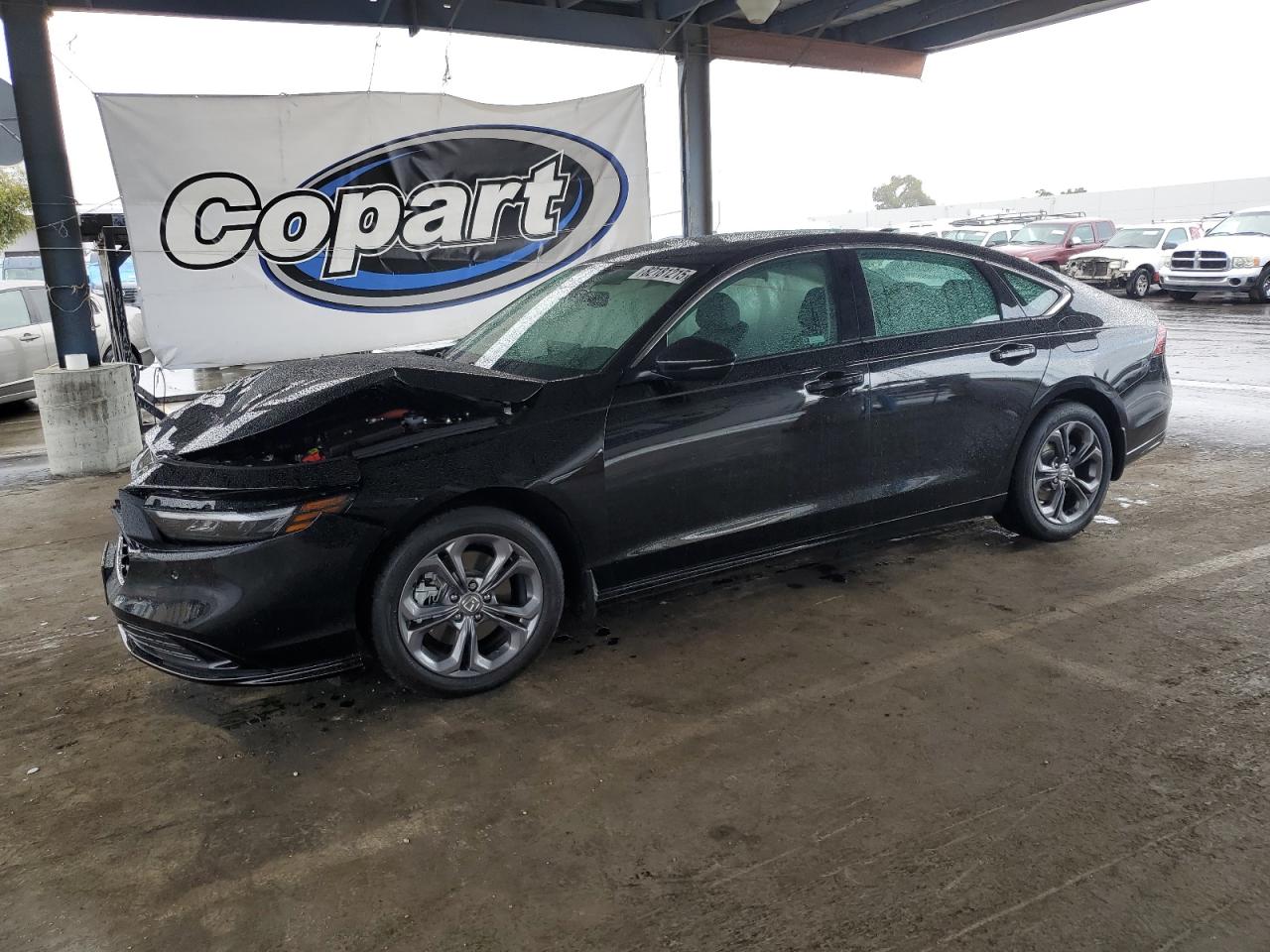 HONDA ACCORD HYBRID EXL