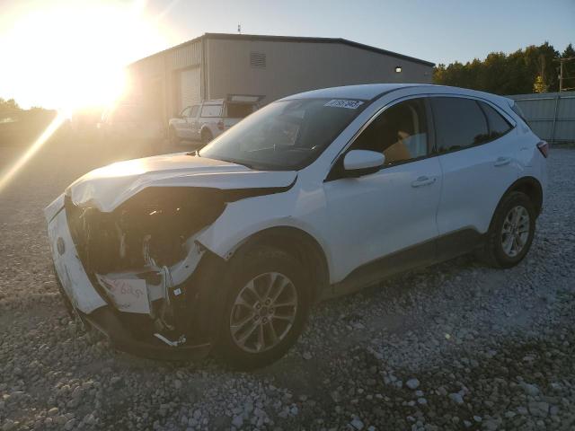 Global Auto Auctions: 2020 FORD ESCAPE SE