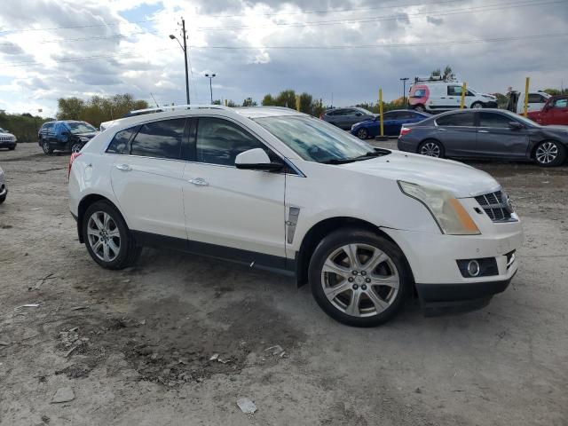 2011 CADILLAC SRX PERFOR - 3GYFNBEY6BS619049