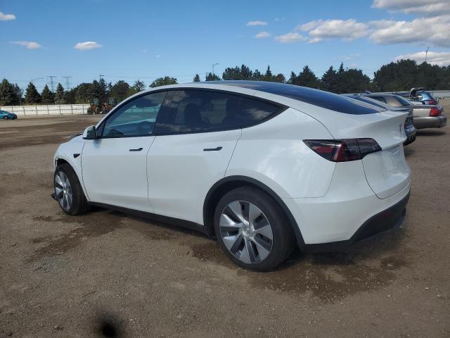 2024 TESLA MODEL Y #3282505886
