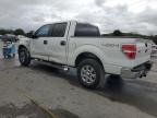 Lot #3305491067 2013 FORD F150 SUPER