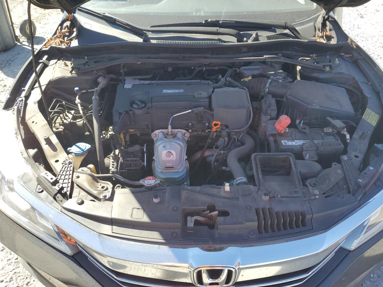 HONDA ACCORD SPORT SPECIAL EDITION