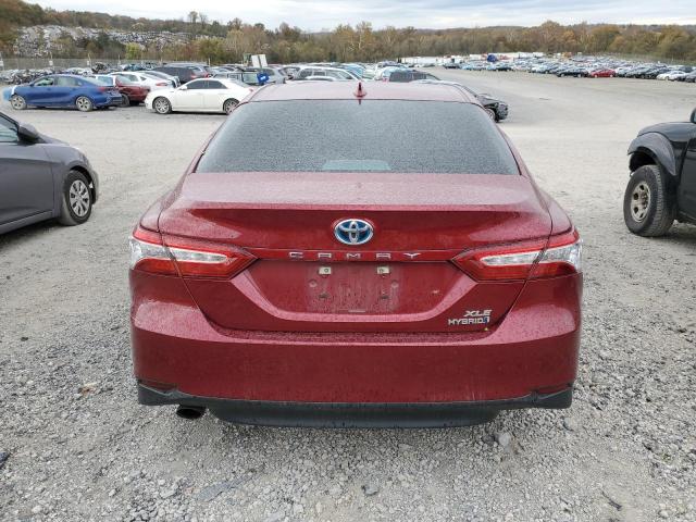 2020 TOYOTA CAMRY XLE 4T1F31AK1LU019527