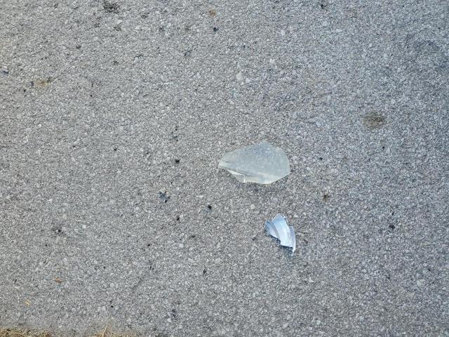 2010 TOYOTA CAMRY BASE - 4T1BF3EK6AU565376