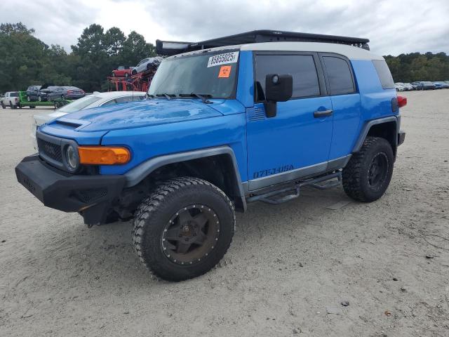 Global Auto Auctions: 2007 TOYOTA FJ CRUISER
