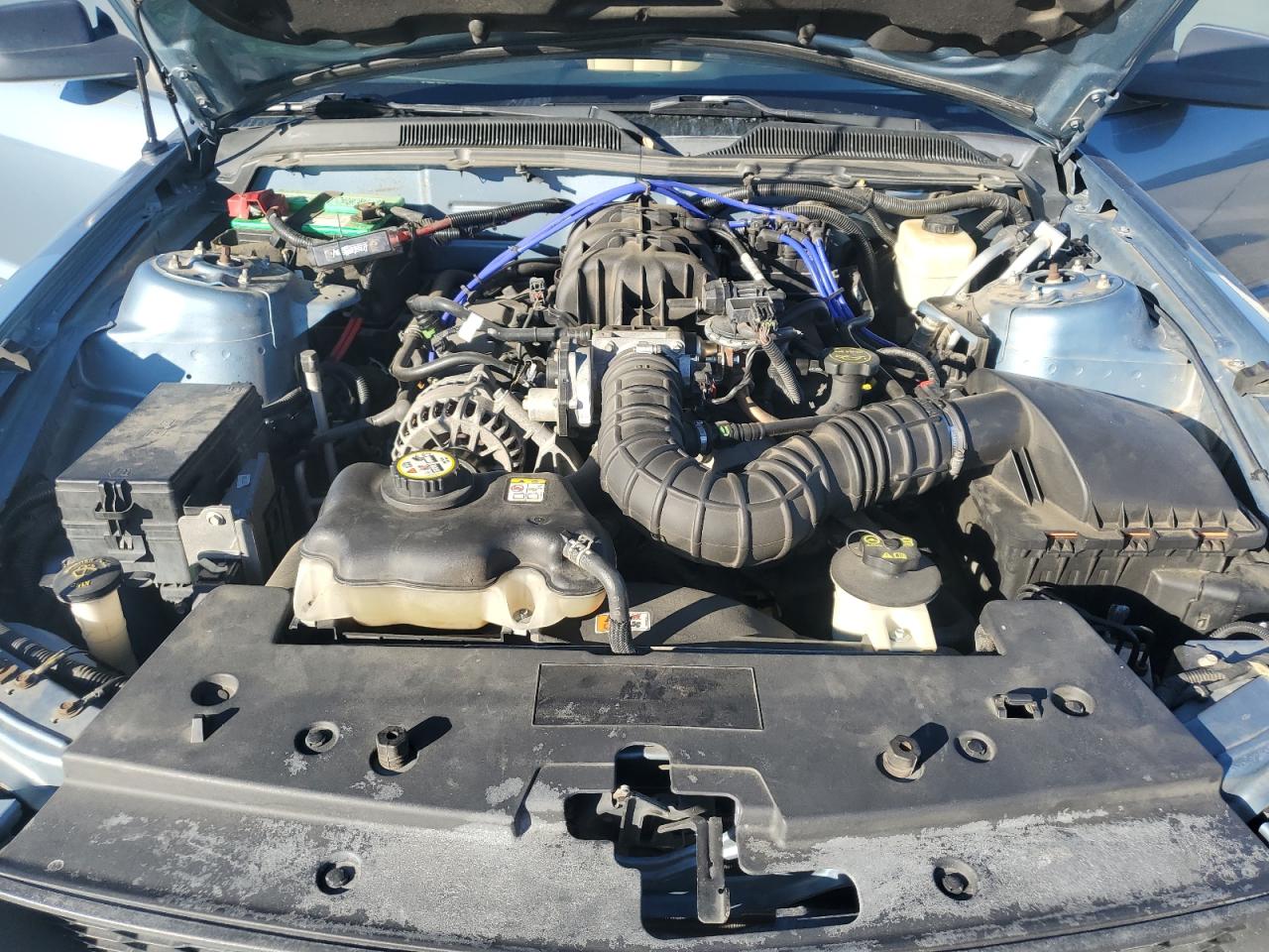 Lot #3281424004 2006 FORD MUSTANG