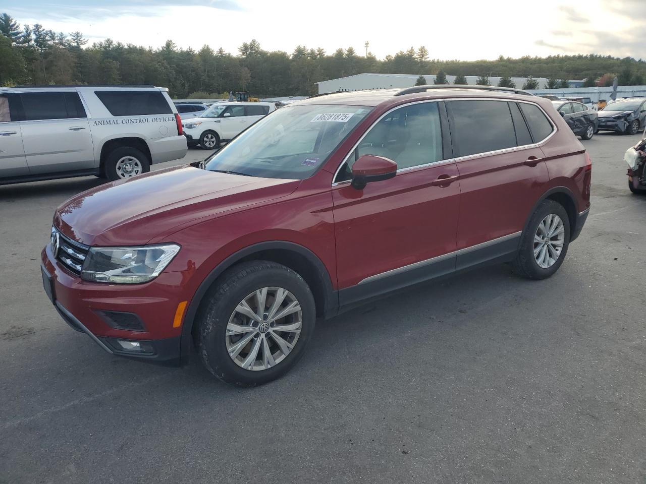 VOLKSWAGEN TIGUAN SE