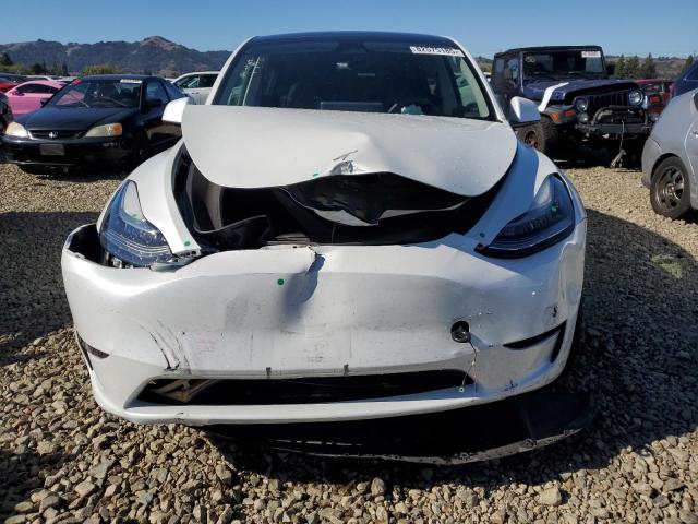 2023 TESLA MODEL Y - 7SAYGDEE6PF589144