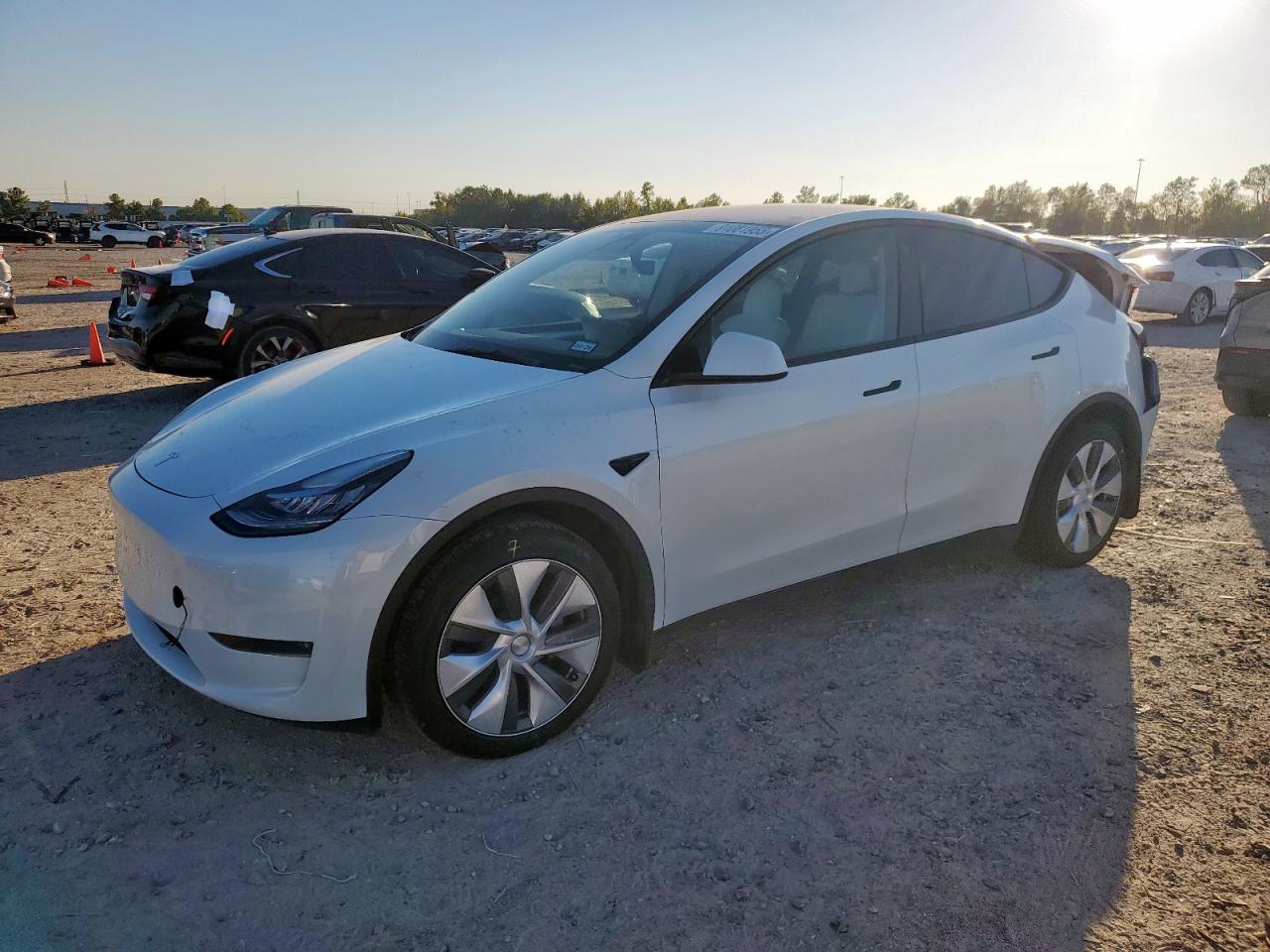 Lot #3304817542 2023 TESLA MODEL Y