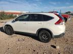 Lot #3303856521 2014 HONDA CR-V EXL