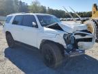Lot #3292417579 2024 TOYOTA 4RUNNER SR5/SR5 PREMIUM
