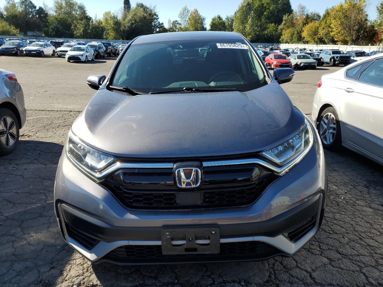 HONDA CR-V EX