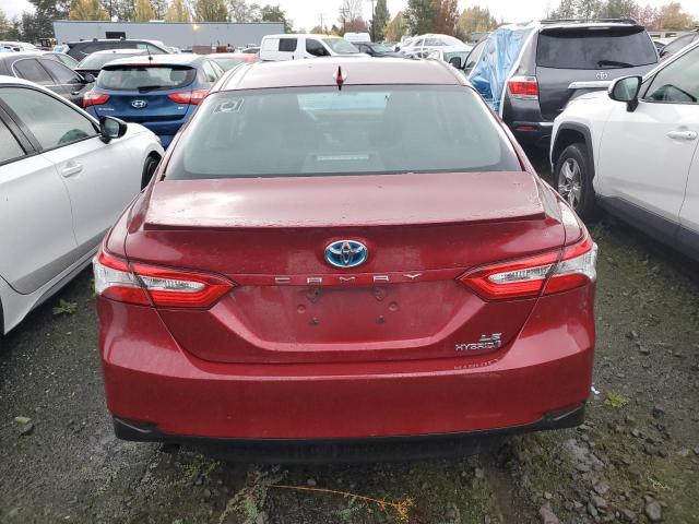 2019 TOYOTA CAMRY LE - 4T1B31HK9KU510978