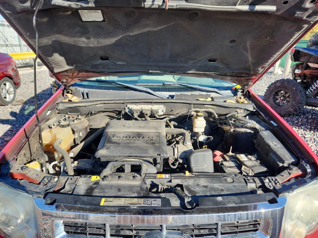 Lot #3287786097 2009 FORD ESCAPE XLT