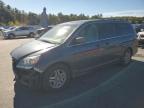 Lot #3294385117 2006 HONDA ODYSSEY EX