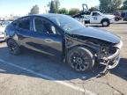 Lot #3302659083 2025 TESLA MODEL Y