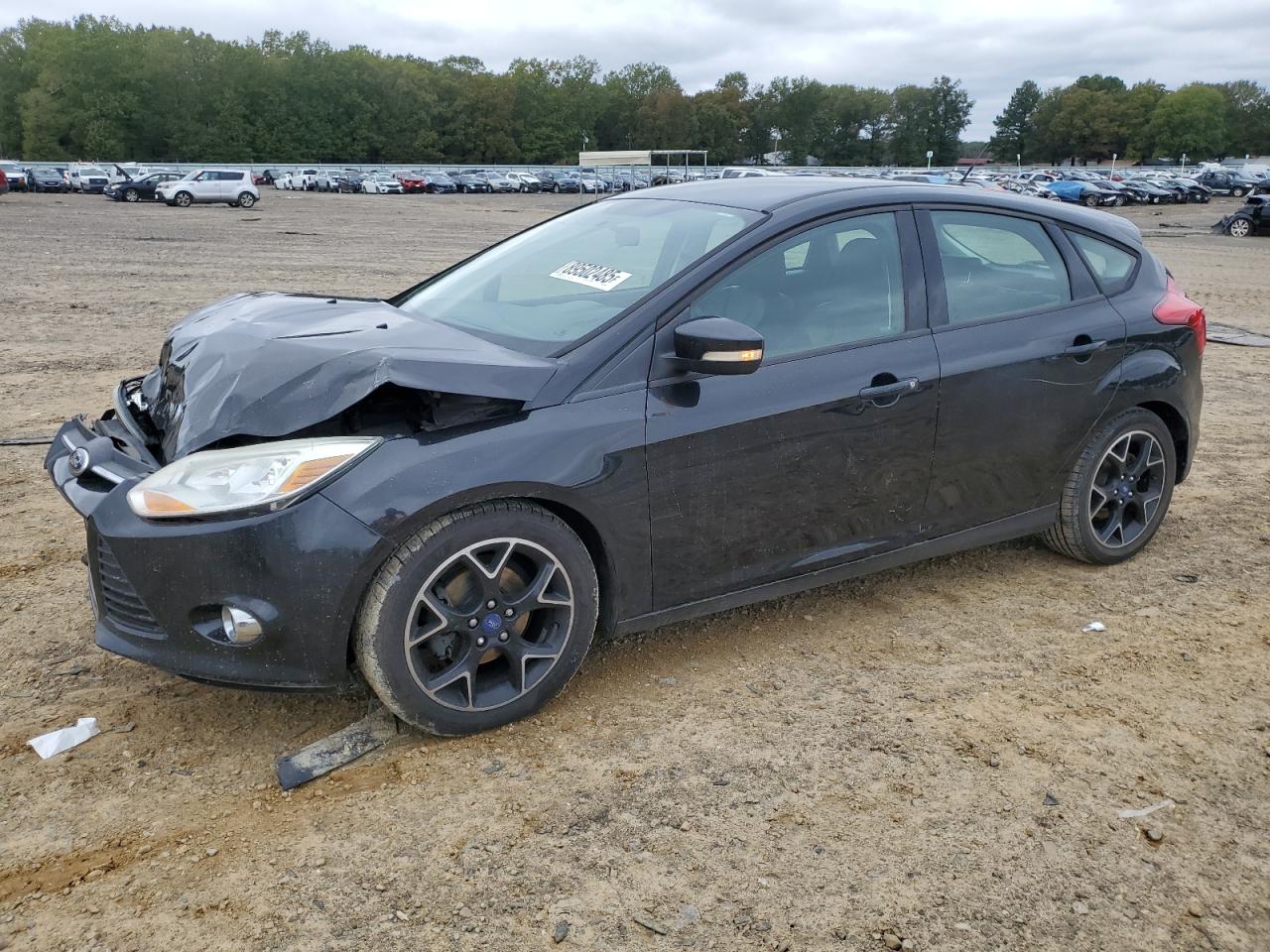 Lot #3285695705 2013 FORD FOCUS SE