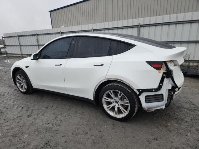2023 TESLA MODEL Y - 7SAYGAEE3PF840944