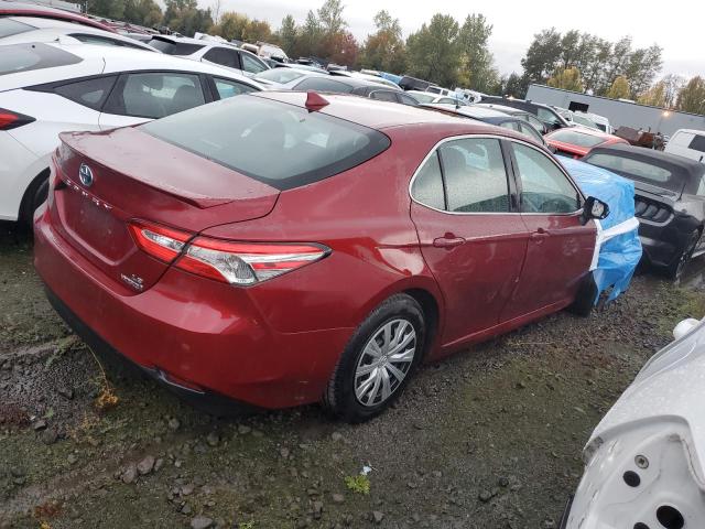 2019 TOYOTA CAMRY LE - 4T1B31HK9KU510978