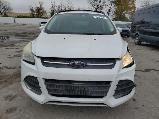 2013 FORD ESCAPE SE - 1FMCU0GX9DUD79515